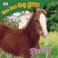 See how they grow Pony(Ⅰ)