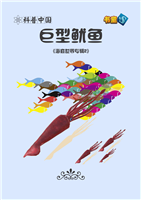巨型鱿鱼(Ⅱ)