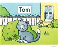 Tom(Ⅱ)