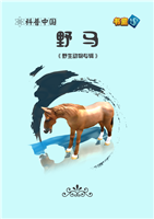 (Ⅰ)野马