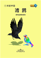 渡鸦(Ⅱ)