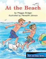 AtTheBeach(1)