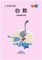 (Ⅱ)白鹅