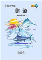 旗鱼(2)