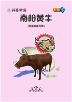 南阳黄牛(2)