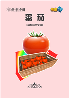 番茄(Ⅰ)