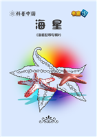 海星(1)