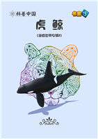 虎鲸(Ⅱ)