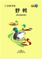 (Ⅰ)野鸭
