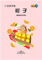 橙子(1)