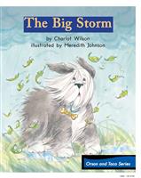 (Ⅱ)TheBigStorm