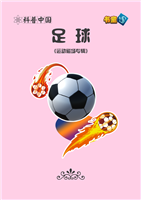 (Ⅱ)足球