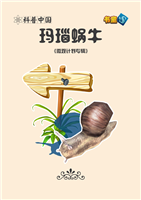 玛瑙蜗牛(1)