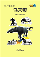 马来貘(2)