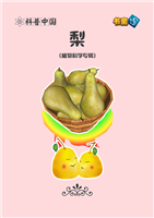 (Ⅰ)梨