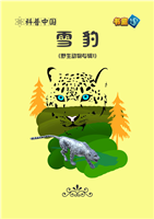 雪豹(2)