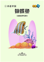 (Ⅱ)蝴蝶鱼