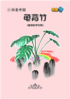龟背竹(2)