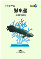 射水鱼(1)