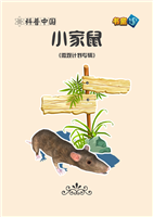 小家鼠(Ⅱ)