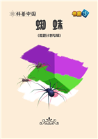 蜘蛛(Ⅰ)