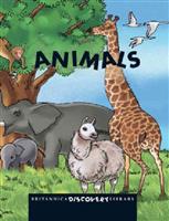 (Ⅰ)Animals