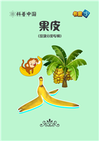 果皮