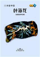 叶海龙