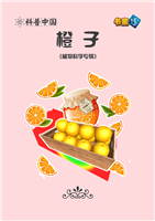 橙子