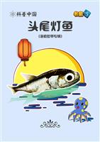 头尾灯鱼