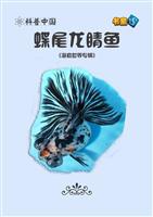 蝶尾龙睛鱼