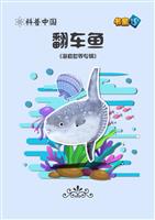 翻车鱼