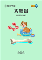 大棒骨
