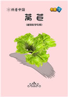 莴苣