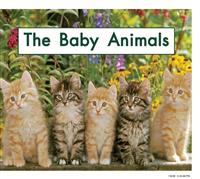TheBabyAnimals