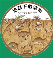 地底下的动物