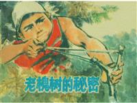 老槐树的秘密