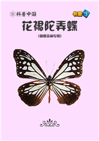 花裙陀弄蝶