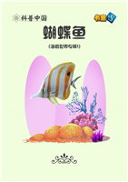 蝴蝶鱼