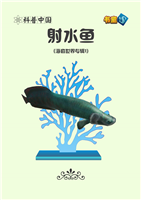 射水鱼