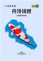 丹顶锦鲤