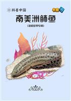 南美洲肺鱼