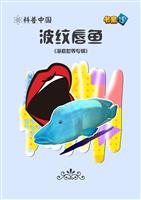 波纹唇鱼