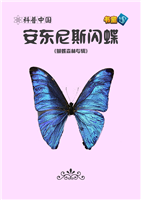 安东尼斯闪蝶
