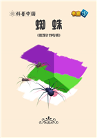 蜘蛛