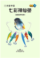 七彩神仙鱼