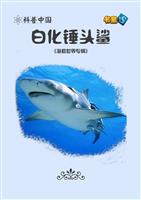 白化鲨鱼