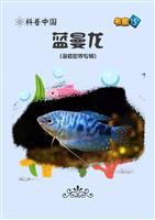 蓝曼龙