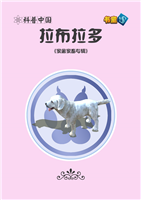 拉布拉多