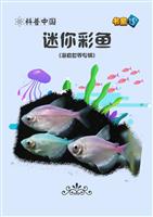 迷你彩鱼
